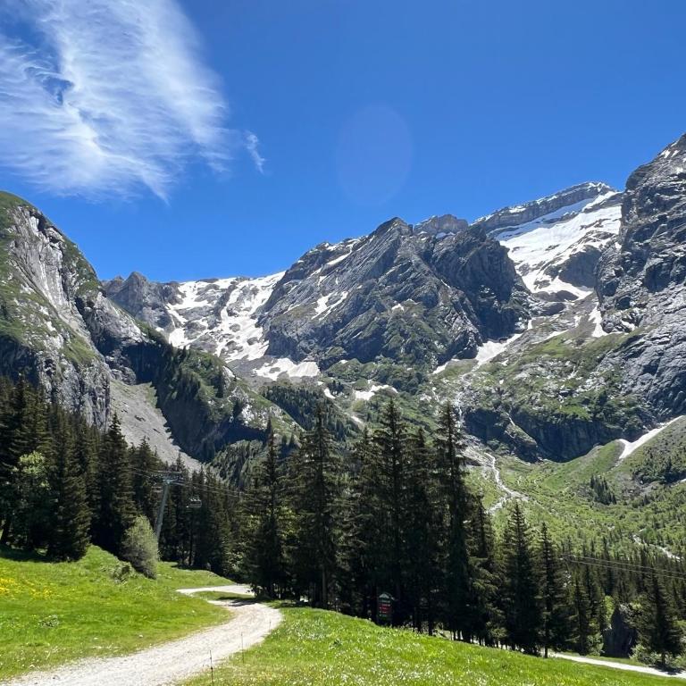 Chalet Les 3 marmottes, 12 personnes, jacuzzi - Chalet - 46