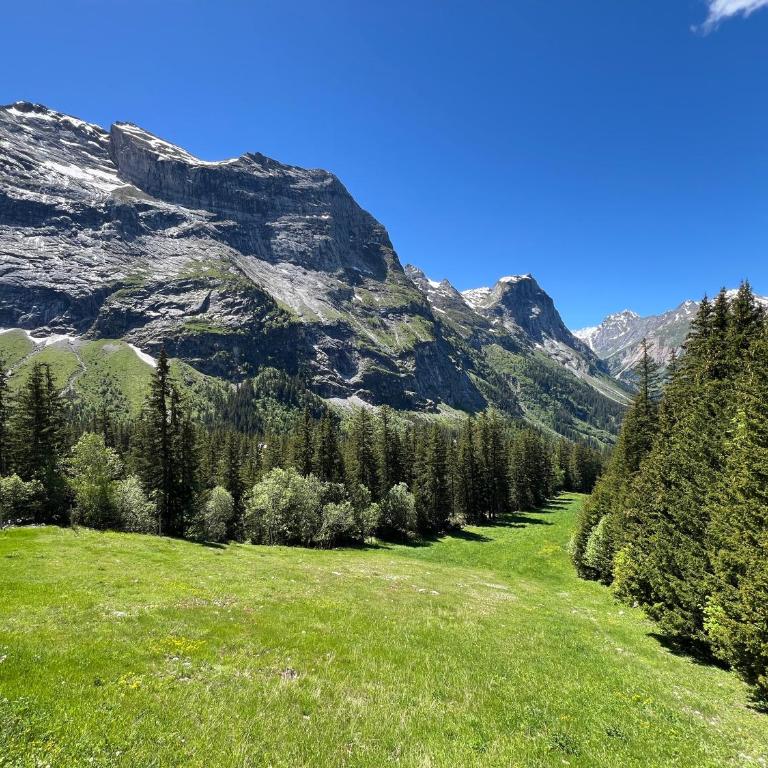 Chalet Les 3 marmottes, 12 personnes, jacuzzi - Chalet - 47