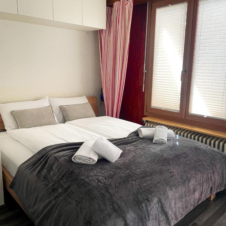 Nendaz Alpine Studio - Ski & Swimming Pool - Appartement 1 Chambre - 3