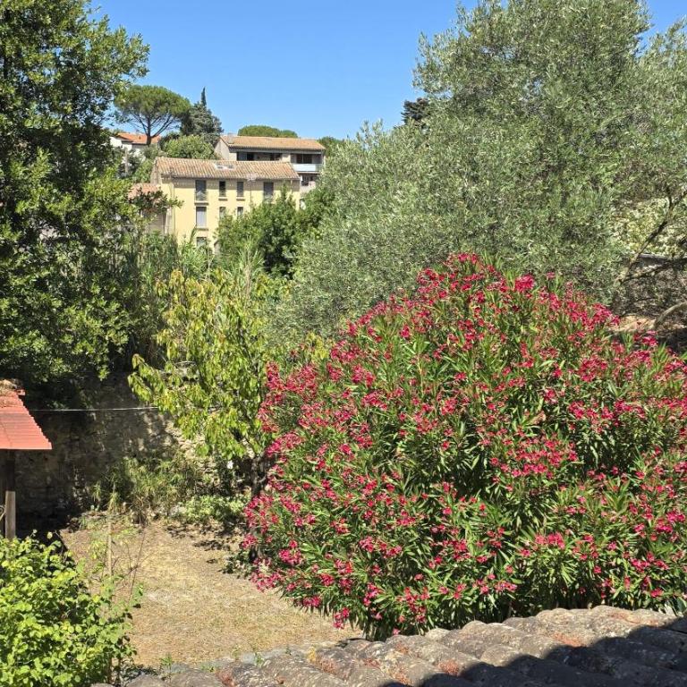 Maison au pied de la Cité médiévale - Casa con 4 camere da letto - 26