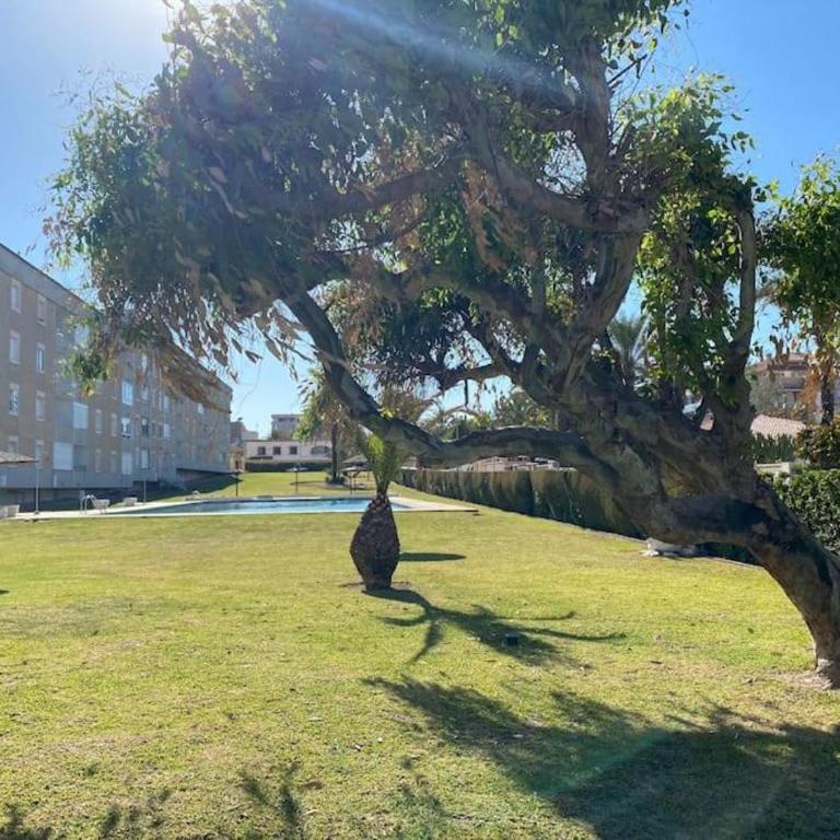 Stylish Frontline Punta Prima Suite with Sea Views - Apartamento de 2 dormitorios - 27