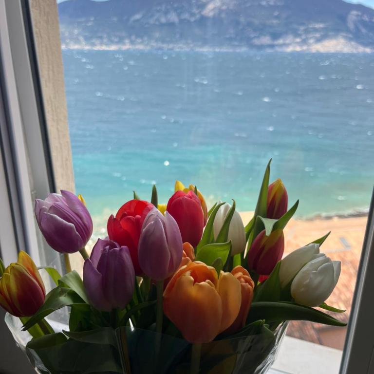 Il Balcone sul Garda chic apartment 130 mq - Appartement 3 Chambres - Vue sur Lac - 4