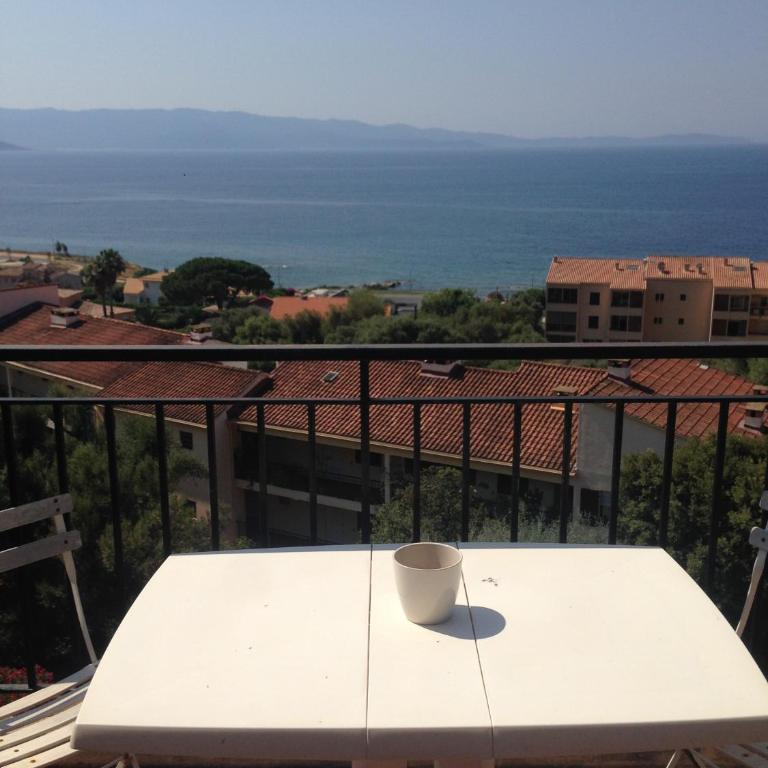 Appartement N2 F1 vue mer route des Sanguinaires - Appartement 1 Chambre - 1