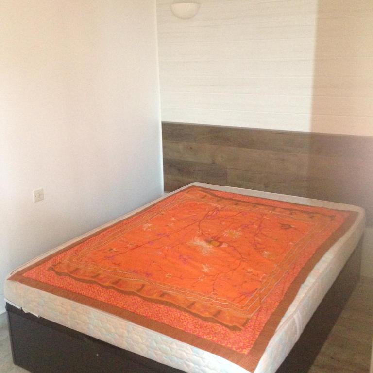 Appartement N2 F1 vue mer route des Sanguinaires - Appartement 1 Chambre - 3