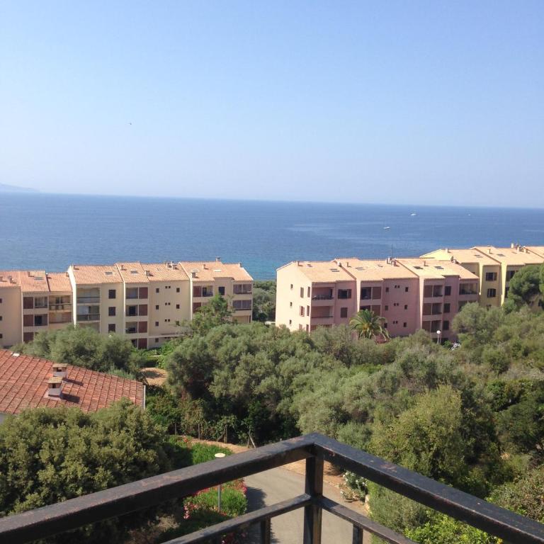 Appartement N2 F1 vue mer route des Sanguinaires - Appartement 1 Chambre - 5