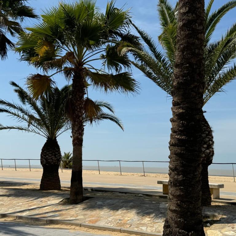 Apartamento en Las Piletas - Apartamento de 2 dormitorios con terraza - 28