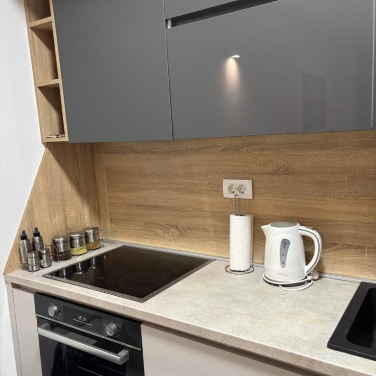 Ana Lux Master Apartment 14 - Apartman sa 1 Spavaćom Sobom - 8