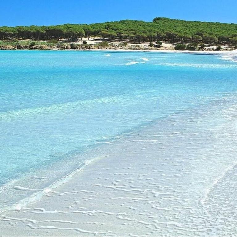 4 minuti dalla Spiaggia - Elegante Villetta a Budoni - Appartamento con 2 Camere da Letto - 3