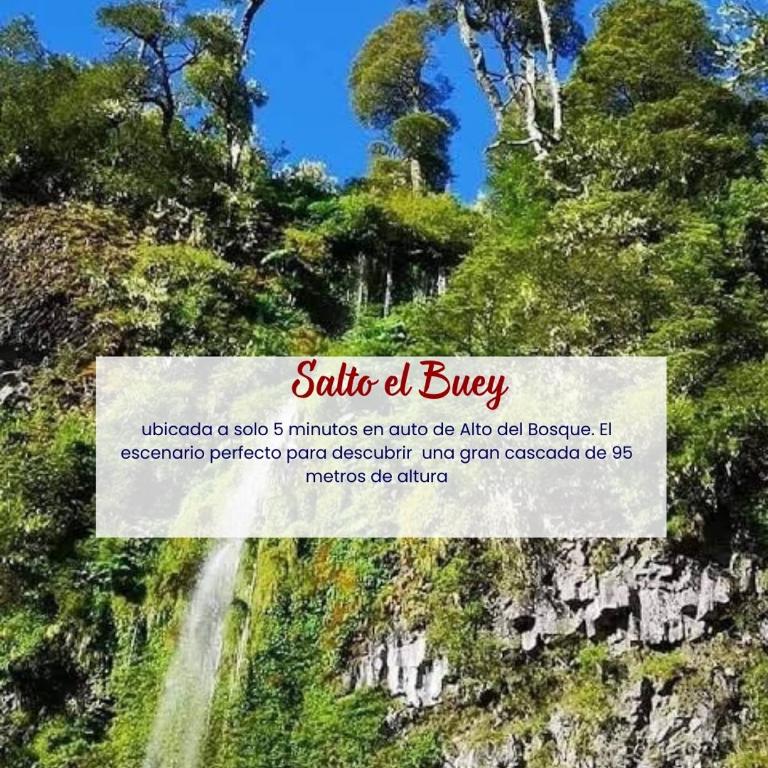 Cabañas Alto del Bosque - Three-Bedroom House - 17