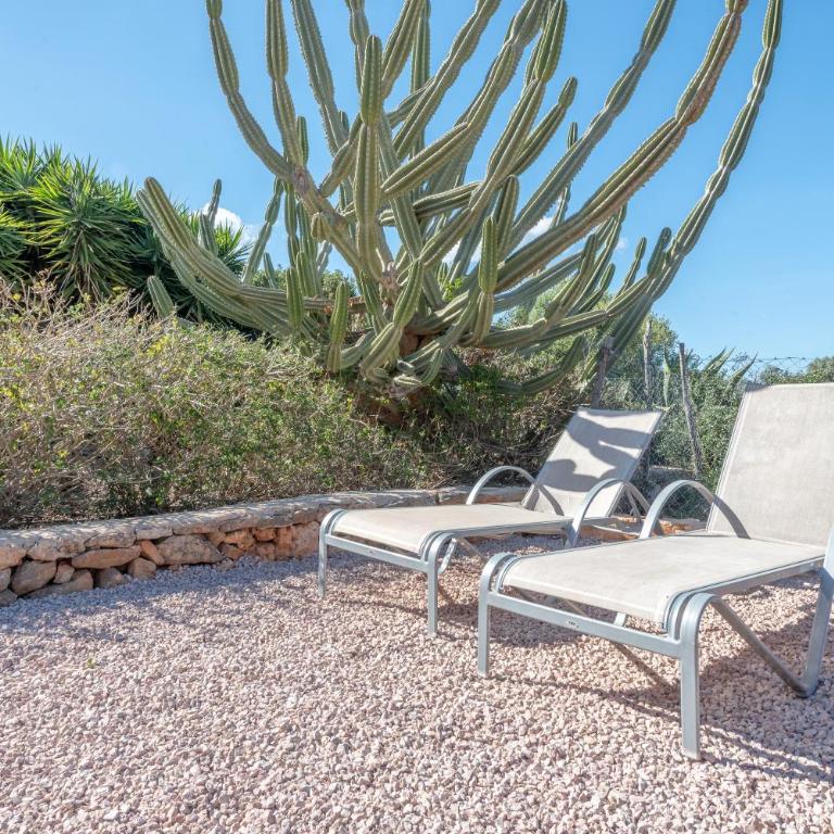Agroturismo Es Rafal Roig by MHR - Estudio con terraza - 4