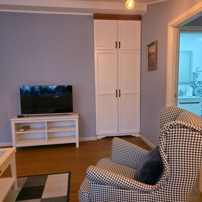 Apartmani Central 4 & Free parking - Apartman sa 2 Spavaće Sobe - 16