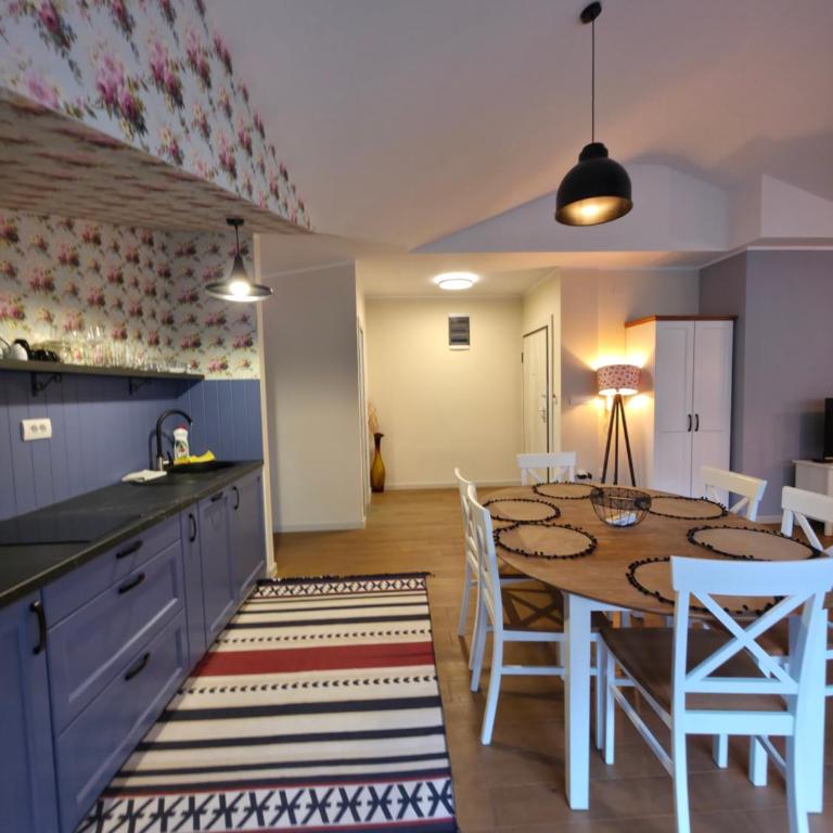 Apartmani Central 4 & Free parking - Apartman sa 2 Spavaće Sobe - 18