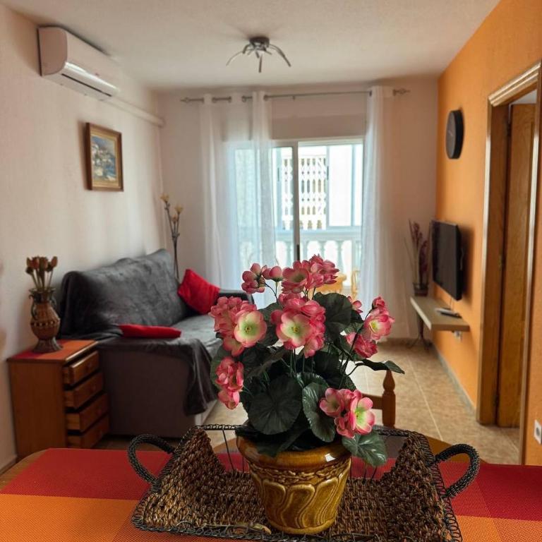 Apartment Vicente casa 119 - Apartamento de 1 dormitorio - 2
