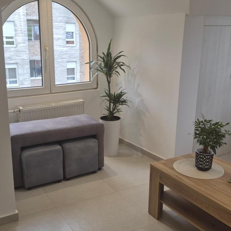 Iva Studio - One-Bedroom Apartment - 19