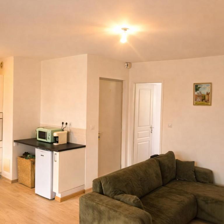 Centre Proche vieille ville et remparts-Appartement 50m2 - One-Bedroom Apartment - 2