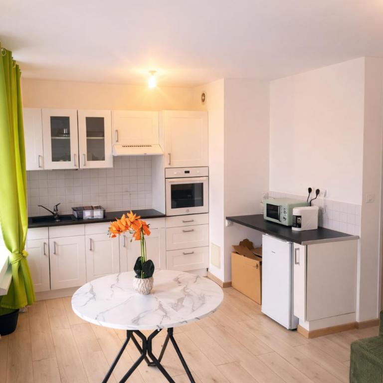 Centre Proche vieille ville et remparts-Appartement 50m2 - One-Bedroom Apartment - 7