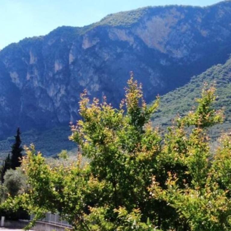 Casa Akira - Appartamento - 37