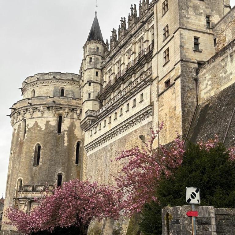 La Parenthèse Royale - Apartamento de 2 dormitorios - 58