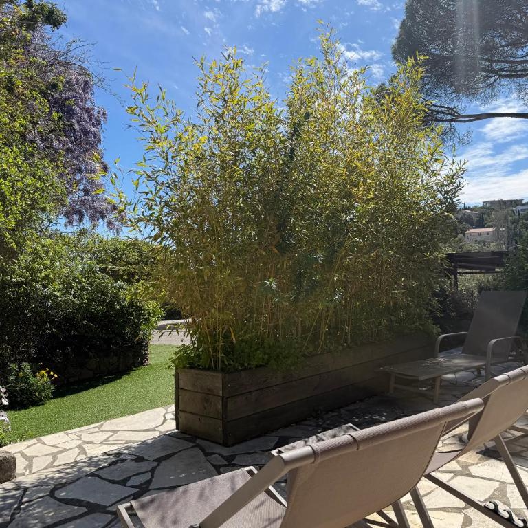 Domaine du Mas de Peyres - Superior Two-Bedroom Apartment - n°1 - 9