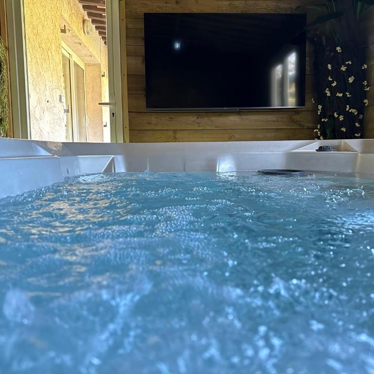 Domaine du Mas de Peyres - Deluxe Apartment with indoor Private SPA - n°3 - 10