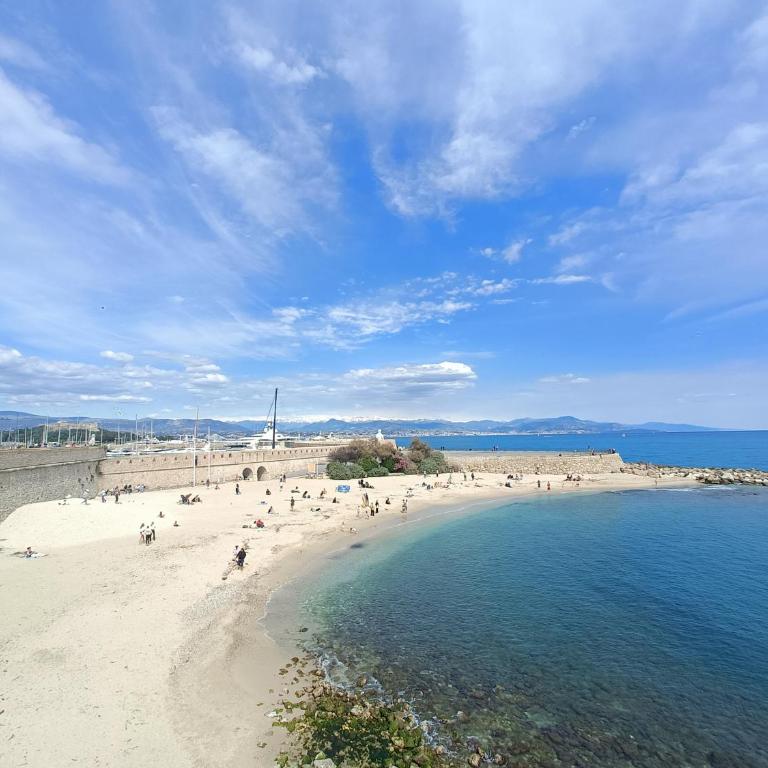 La Perle d'Antibes beach and port 300 m away - Appartamento con 1 Camera da Letto - 11