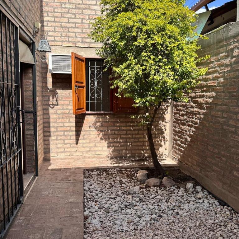 Casa en Rivadavia San Juan Alquiler Temporal - Casa - 18