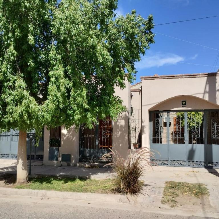 Casa en Rivadavia San Juan Alquiler Temporal - Casa - 21