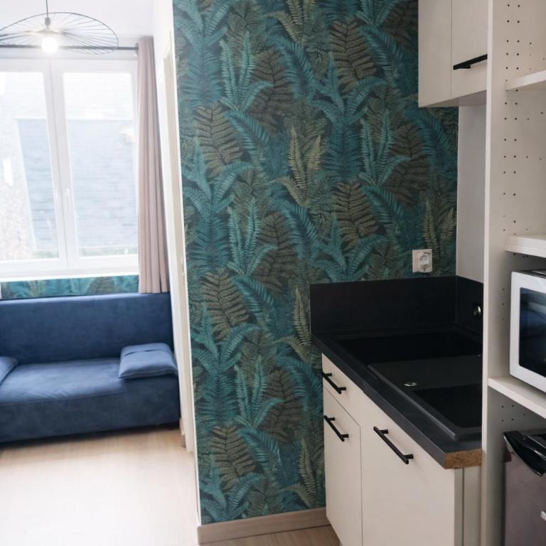 Spa et sauna , studio rénové à 5 min du centre historique - One-Bedroom Apartment - 11