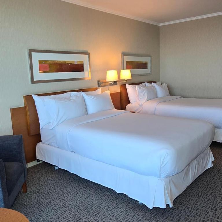Novotel Puerto Montt - Superior Room with Two Double Beds - 7
