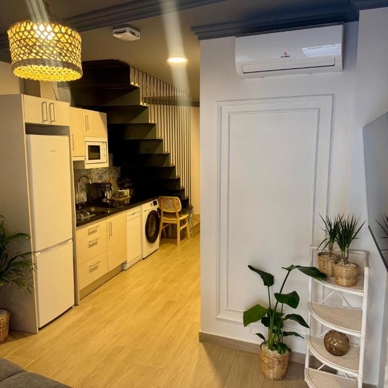 Biznaga Apartamentos 2A - Apartamento de 1 dormitorio - 3