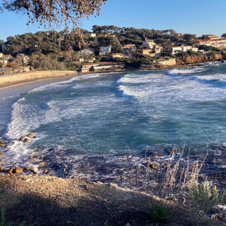 Les Palmiers Très beau T2 vue mer 2mn de la plage150m - Apartment mit 1 Schlafzimmer - 24