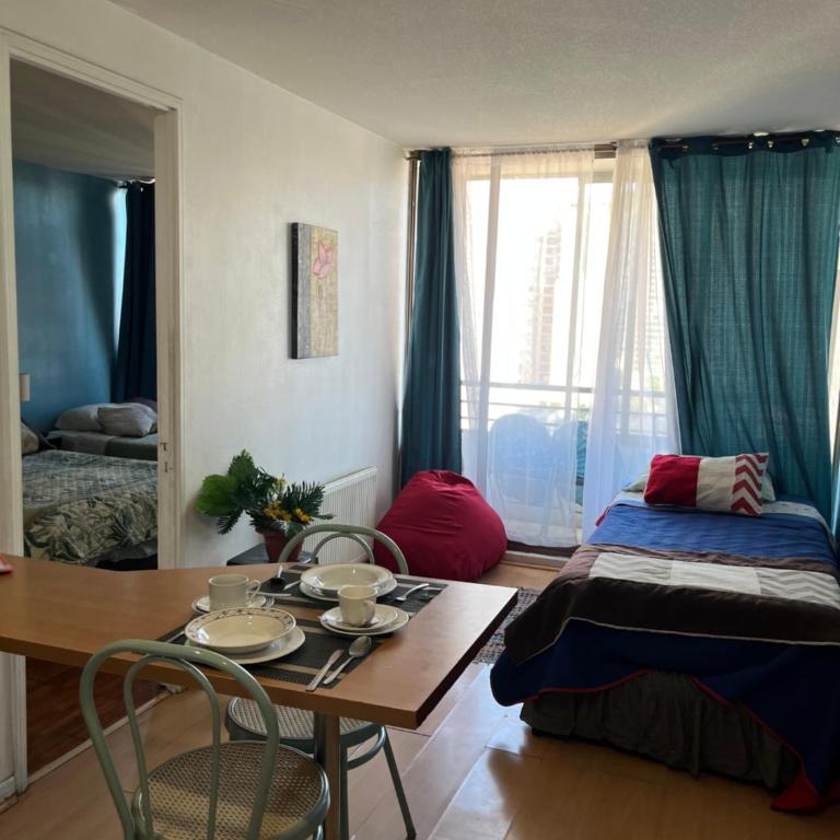 Departamentos Amoblados Relocation - One-Bedroom Standard Apartment - 11
