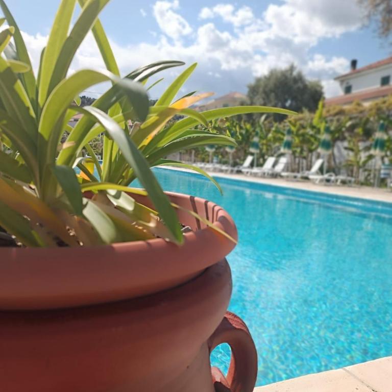 Residenza Al Borgo - Apartment with Garden View - 1