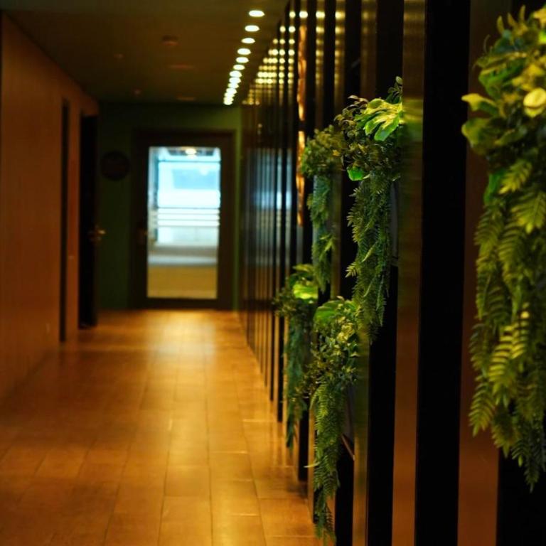 Novotel Puerto Montt - Superior Room with Two Double Beds - 6
