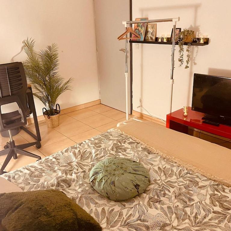 Le Nid de Stéphanie - Apartment mit 1 Schlafzimmer - 6