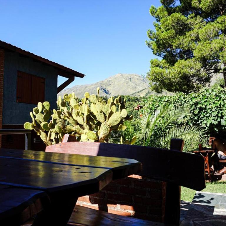 A Mi Manera Apart - Apartment with Mountain View - 7