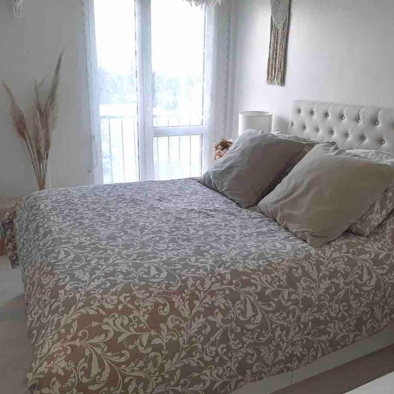 L'or du berry - Appartement 1 Chambre - 19