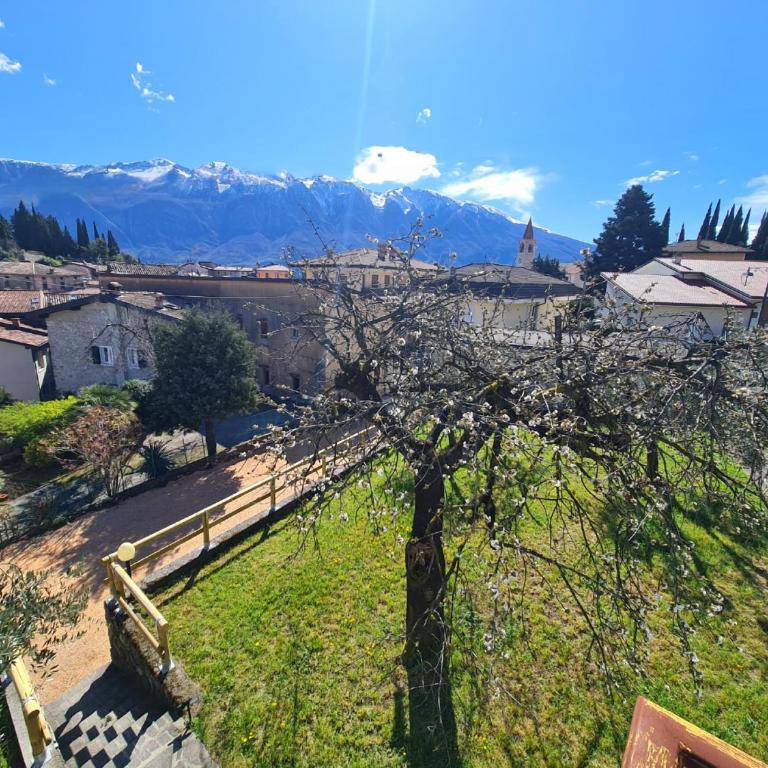 Villa La Pief - Gardasee by Garda Domus Mea - Appartamento con Vista Lago - 28