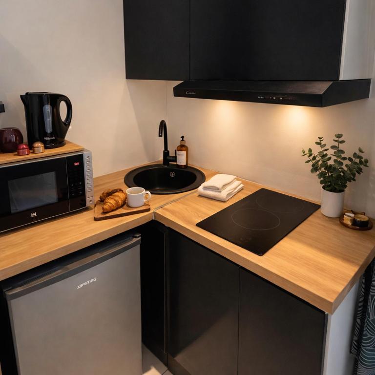 Studio near Monaco Ideal for Rolex Tennis Week - Appartement 1 Chambre - 2