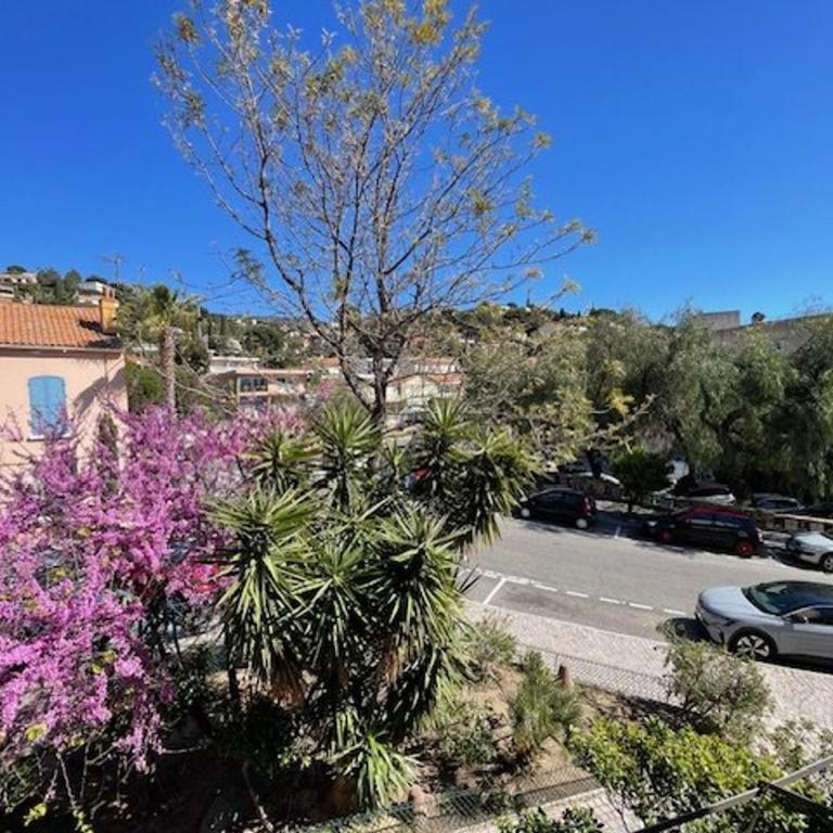 Appartement moderne centre-ville - pers. - FR-1-308-213 - Appartamento - 18