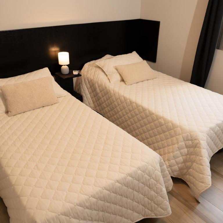 Dpto en Mendoza a metros del Parque Gral San Martín - Apartamento de 2 dormitorios - 46