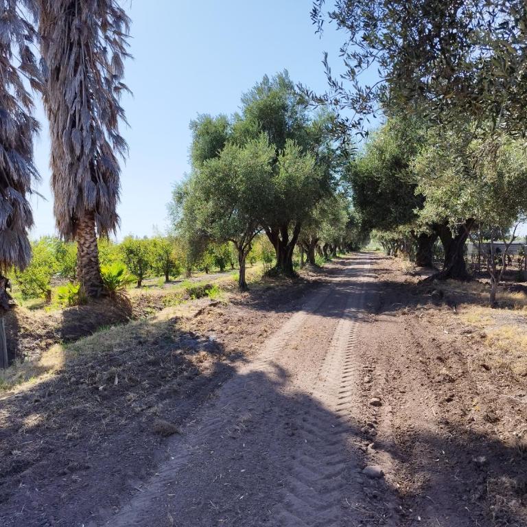 Finca Magdalena Casa de Campo - Apartamento de 1 dormitorio - 18