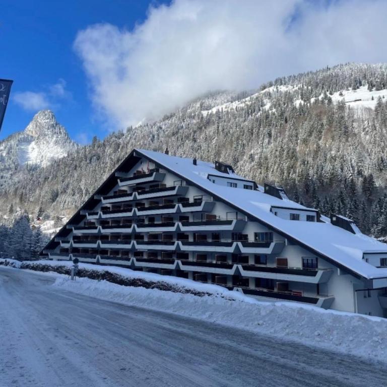 Studio, proche des pistes et des commerces - Apartment mit 1 Schlafzimmer - 2