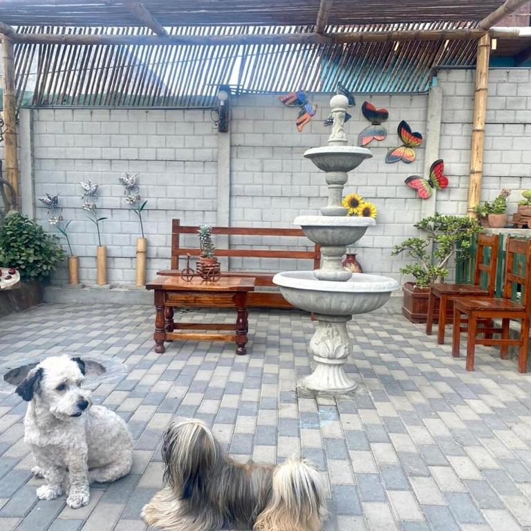 Acogedora Casa huerta estilo rústico - Casa de 2 dormitorios - 38