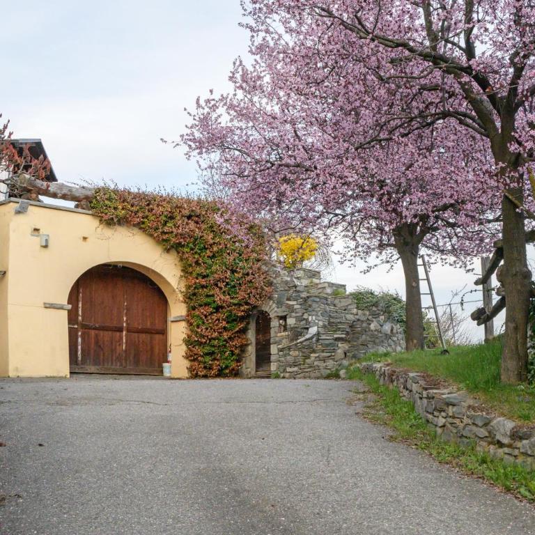 Benni's Mansion - Iconic Stay in Aosta Valley - Villa con 2 Camere da Letto - 48