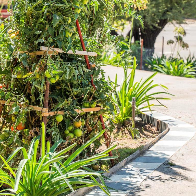 HOM I Loft I LaDehesa I Wifi I Parking I Aire Acond I PLD 32 - Apartamento - 84