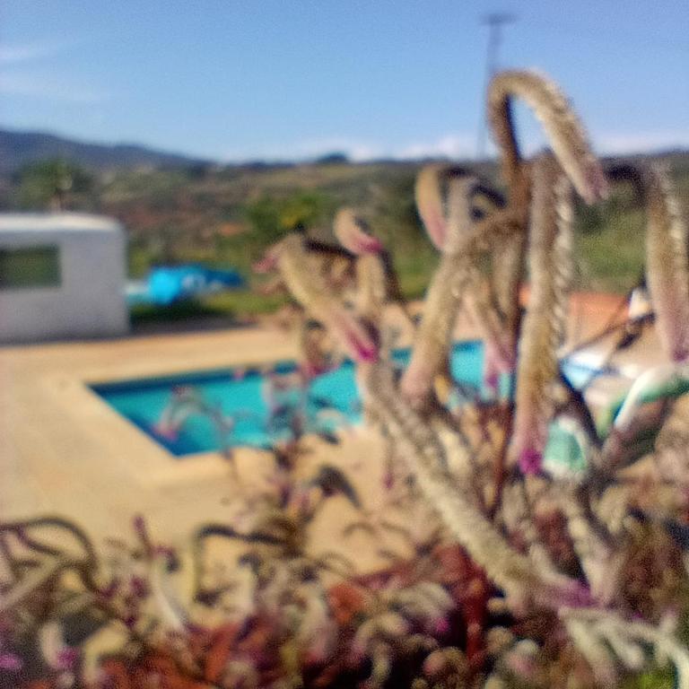 Finca Encanto - Casa de 2 dormitorios - 2