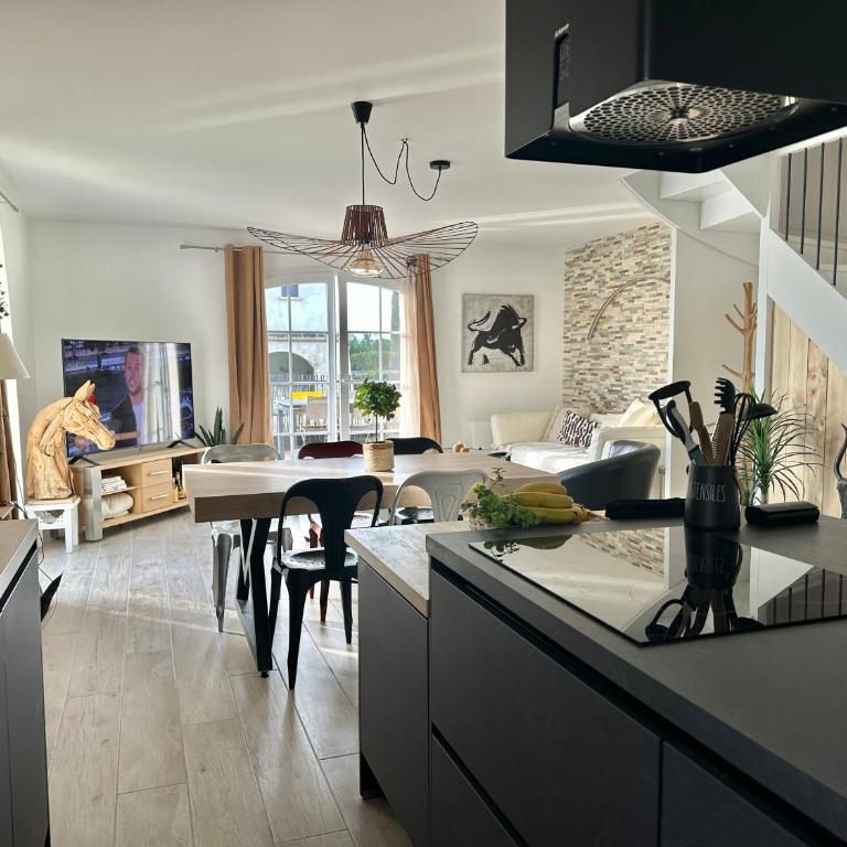Fleur de Camargue - Villa 3 Chambres - 28