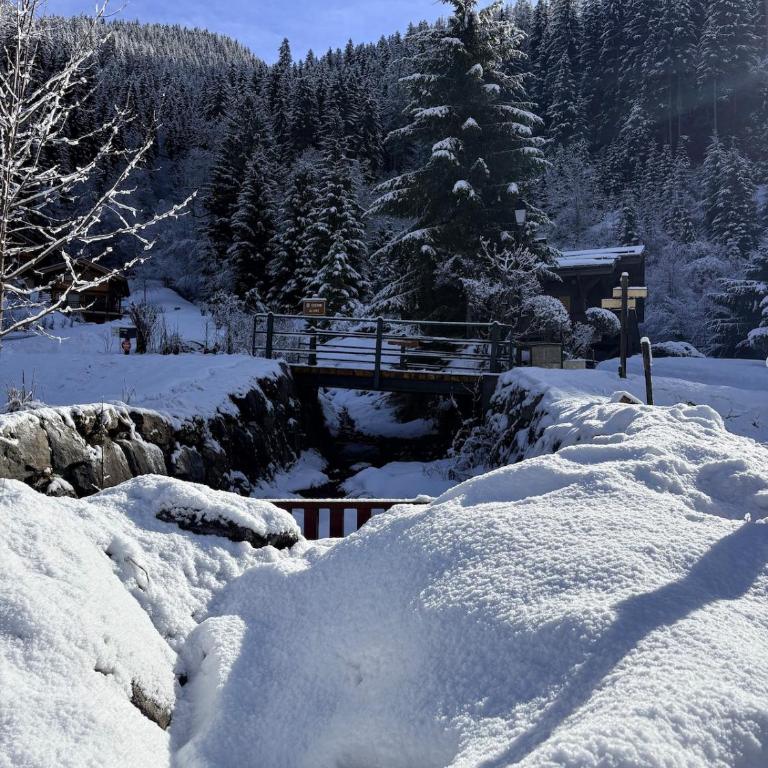 Chalet familial au pied des randonnées - Appartement rénové en rdc proche du centre - Linge inclus - Appartamento con 3 Camere da Letto - 22