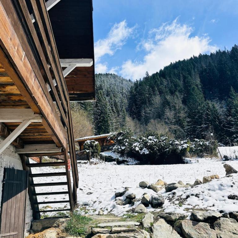 Chalet familial au pied des randonnées - Appartement rénové en rdc proche du centre - Linge inclus - Appartamento con 3 Camere da Letto - 12